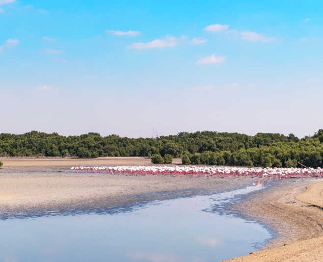 Travel tips for visiting Al Khor Park