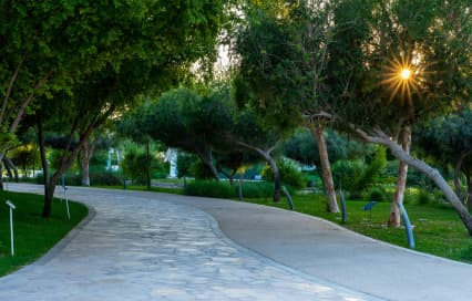 Oxygen Park Qatar: Visitor Guide, Opening Hours, Activities & Tips