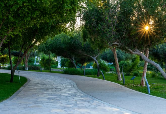 Oxygen Park Qatar Visitor Guide: What to Know Before Go Oxygen Park Qatar Visitor Guide: What to Know Before Go