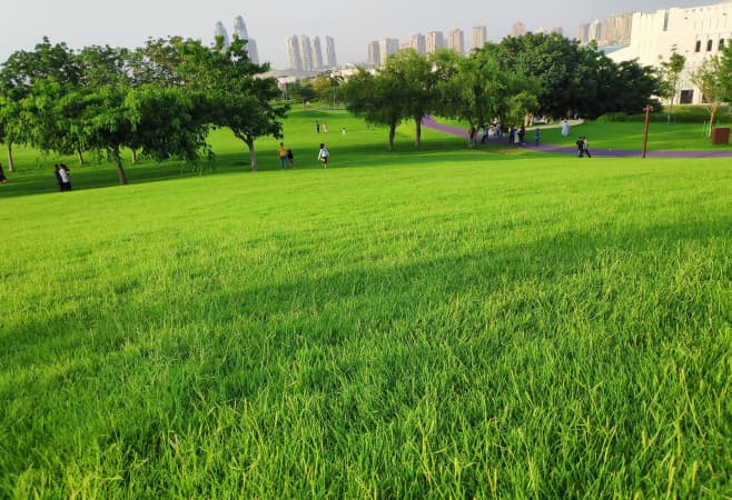 Top things to do at Oxygen Park - relax in green garden Top things to do at Oxygen Park - relax in green garden